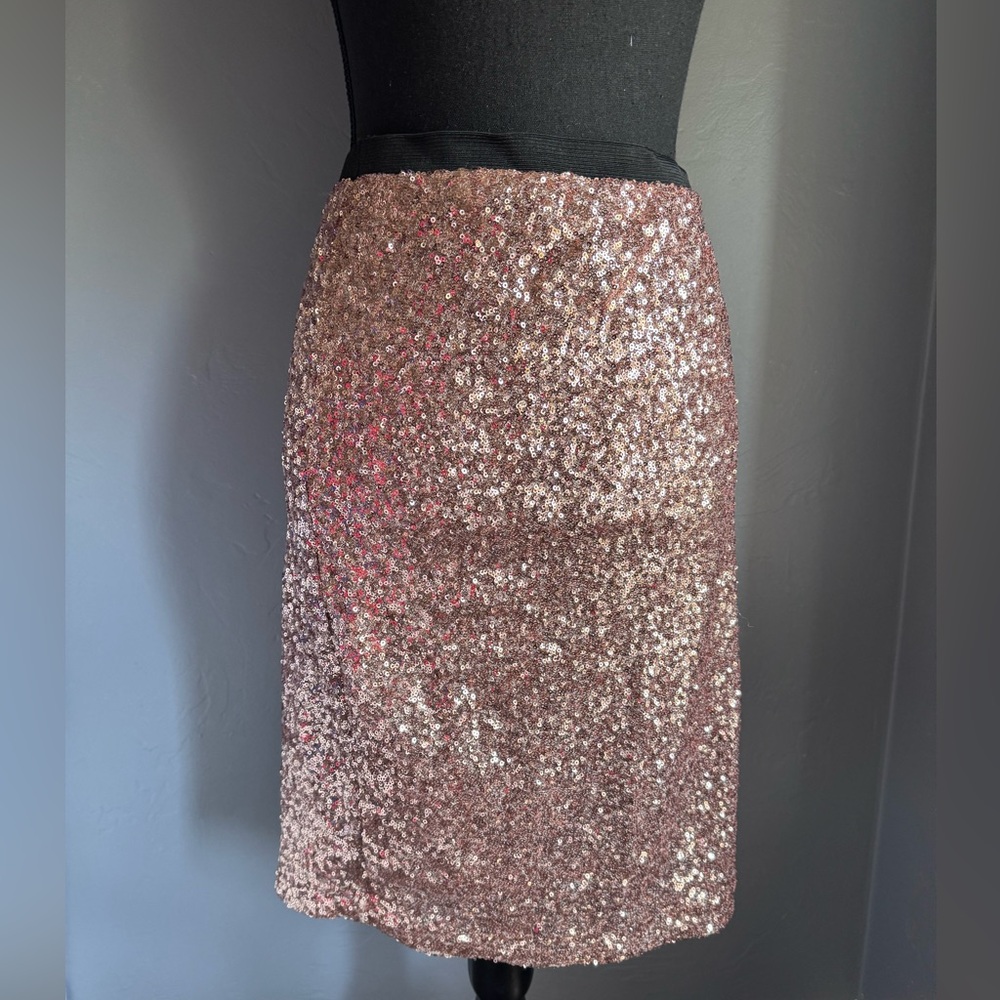 Sequin Embellished Skirt - Pink